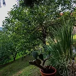 House Calla, House With A View, Near Piran * Secovlje