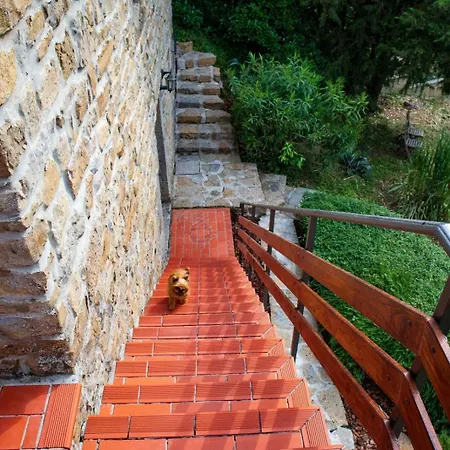 Hisa Calla Сasa de vacaciones Sečovlje
