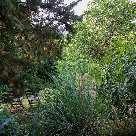 House Calla, House With A View, Near Piran * Sečovlje