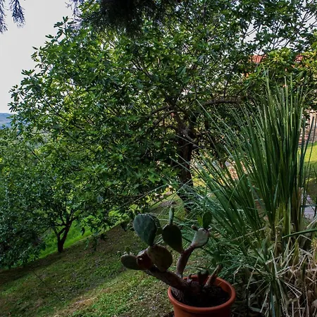 House Calla, House With A View, Near Piran * Sečovlje