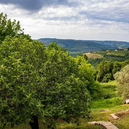 House Calla, House With A View, Near Piran Hébergement de vacances *