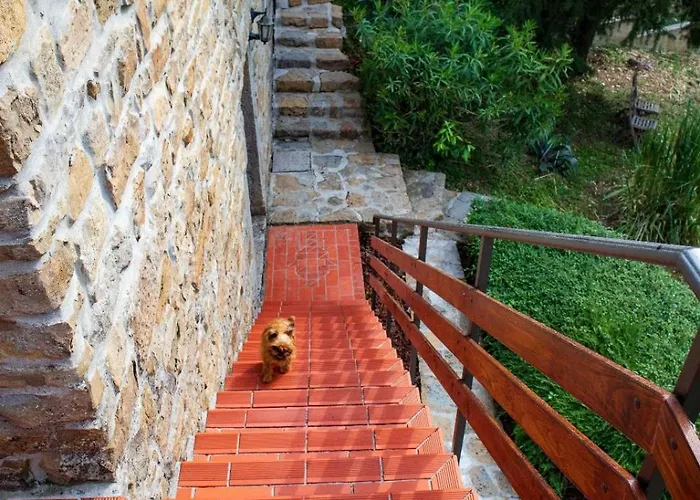 House Calla, House With A View, Near Piran Hébergement de vacances Sečovlje