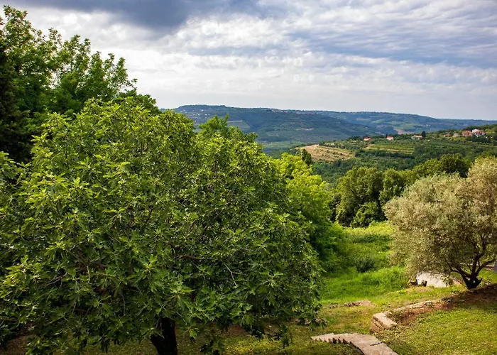 House Calla, House With A View, Near Piran Hébergement de vacances *